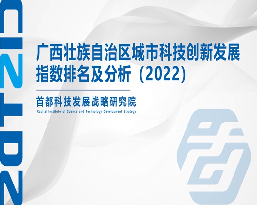 美女操Bx网站【成果发布】广西壮族自治区城市科技创新发展指数排名及分析（2022）